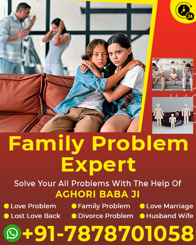 World Famous Astrologer Aghori Baba Ji +91-7878701058