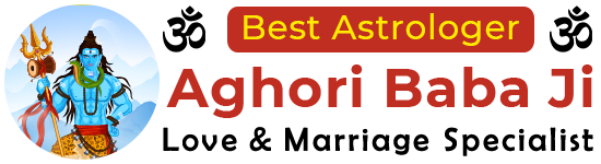 World Famous Astrologer Aghori Baba Ji +91-7878701058